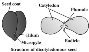Question diagram