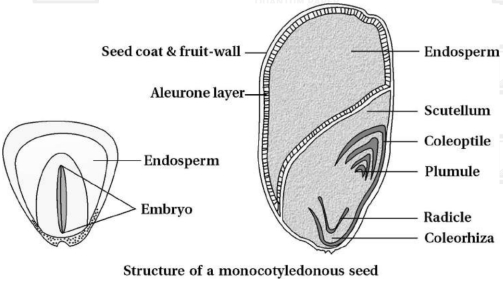 Solution diagram