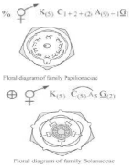 Solution diagram