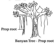Solution diagram
