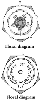 Solution diagram