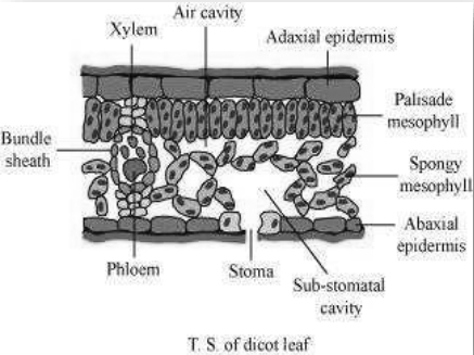 Solution diagram