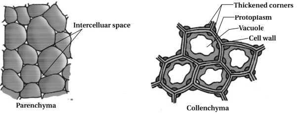 Solution diagram