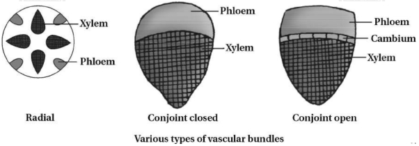 Solution diagram