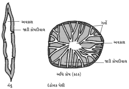 Solution diagram