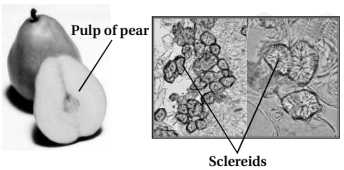 Solution diagram