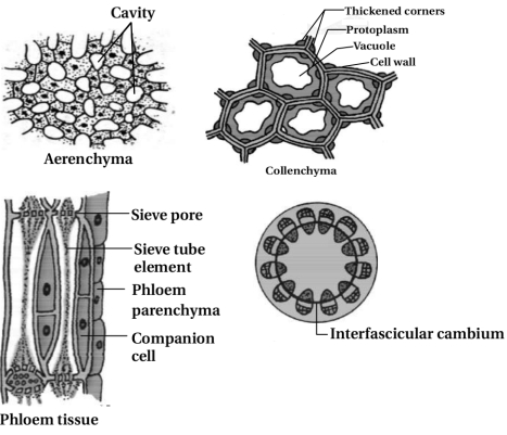 Solution diagram