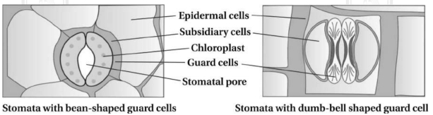 Solution diagram