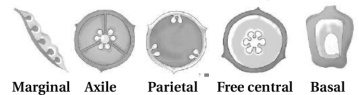 Solution diagram