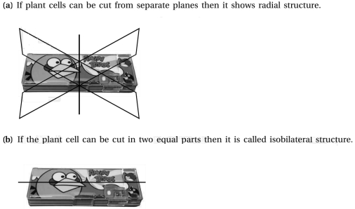 Solution diagram