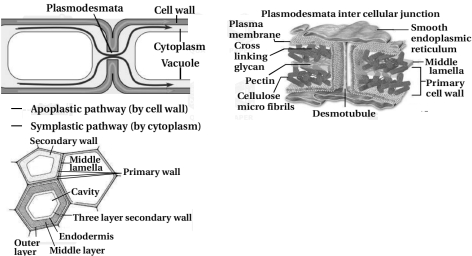 Solution diagram
