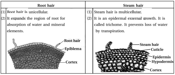 Solution diagram