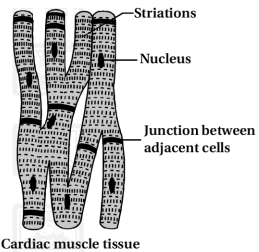 Solution diagram