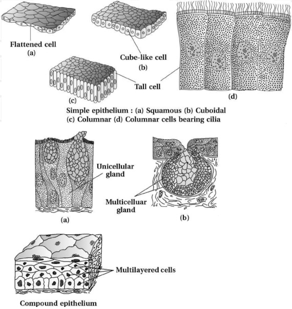 Solution diagram