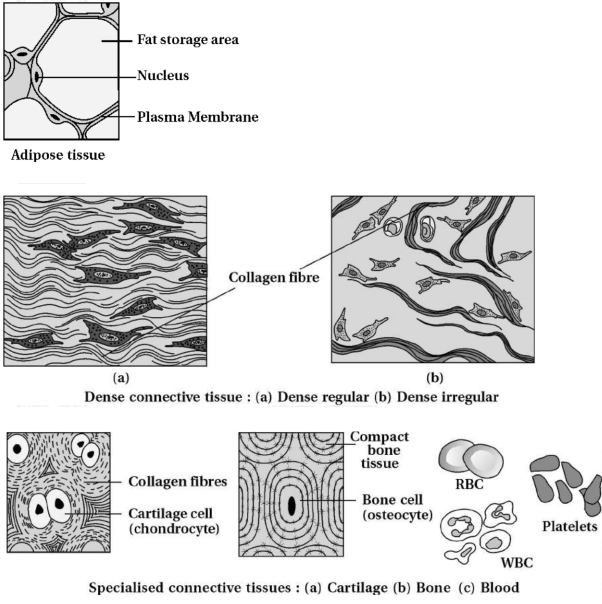 Solution diagram