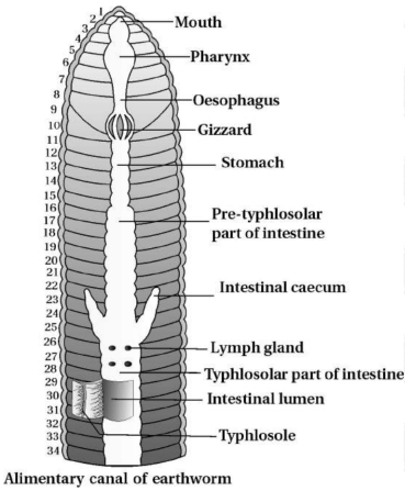 Question diagram