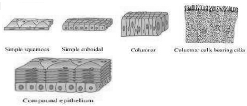 Solution diagram