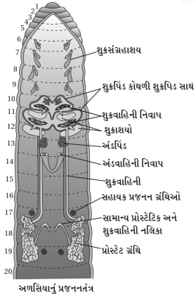 Solution diagram