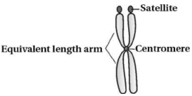 Solution diagram
