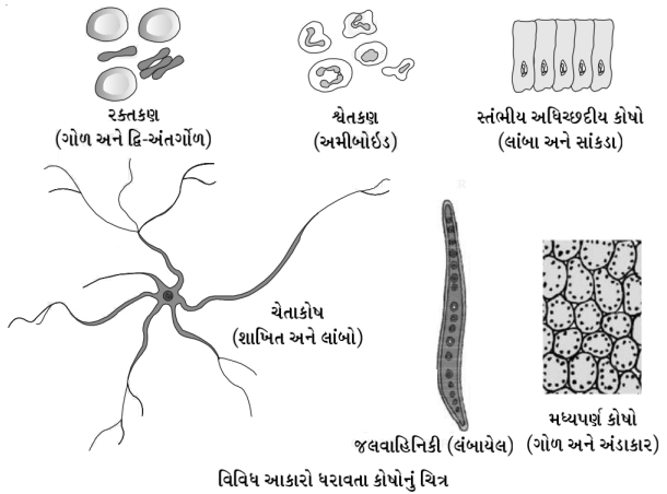 Solution diagram