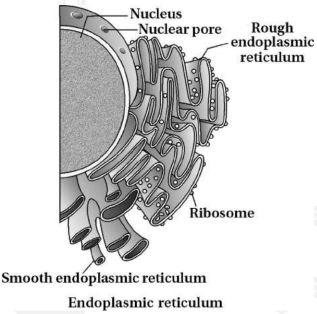 Solution diagram