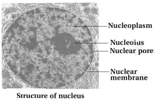 Solution diagram