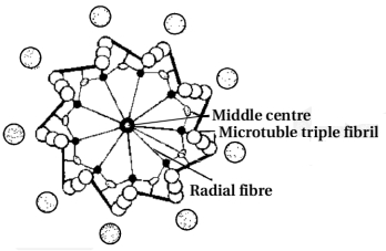 Solution diagram