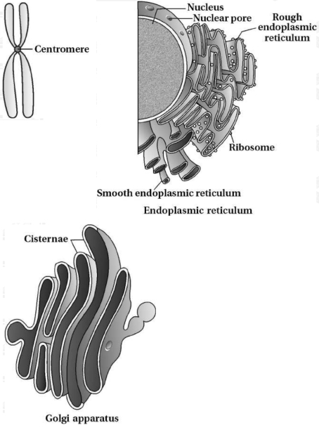 Solution diagram