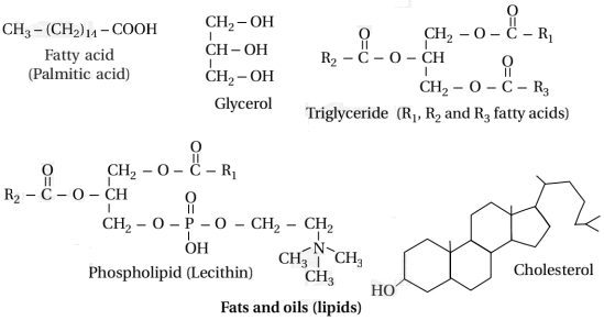 Solution diagram