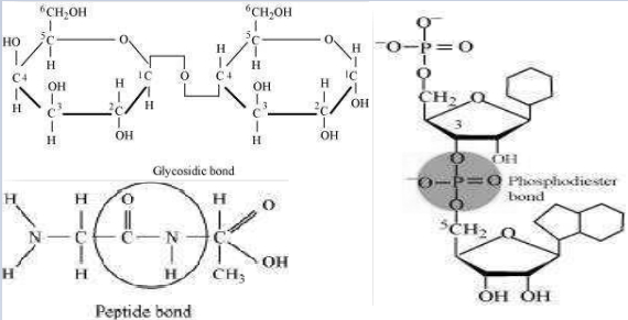 Solution diagram