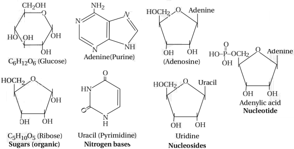 Solution diagram