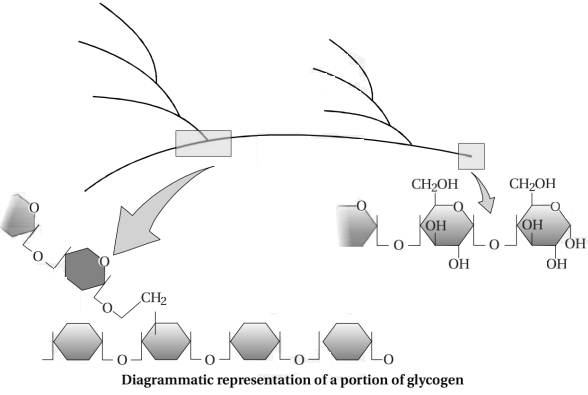 Solution diagram