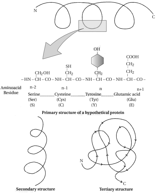 Solution diagram