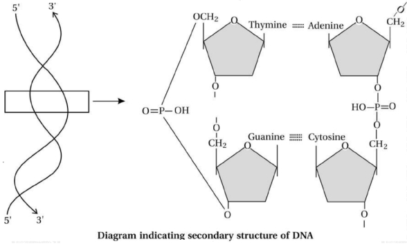 Solution diagram