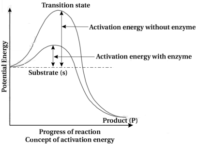 Solution diagram