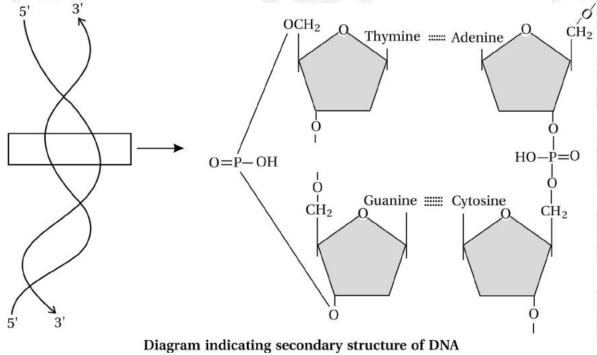 Solution diagram
