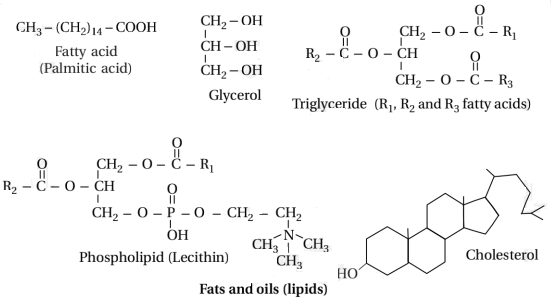 Solution diagram