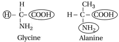 Solution diagram