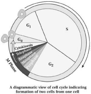 Solution diagram