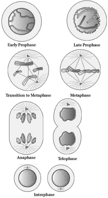 Solution diagram