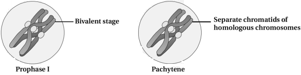 Question diagram