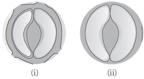Question diagram