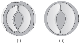 Question diagram