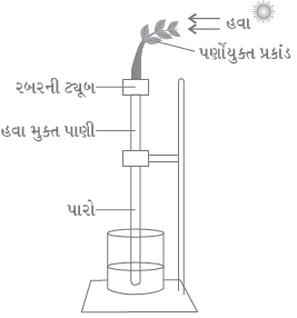 Question diagram