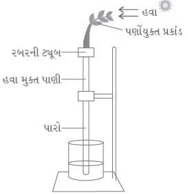 Question diagram