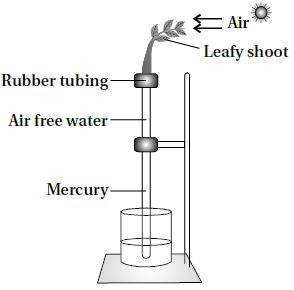 Question diagram
