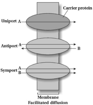 Solution diagram