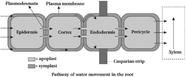 Solution diagram