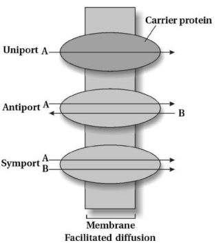 Solution diagram