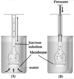 Solution diagram